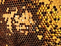 DSCF0130.jpg