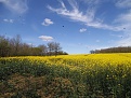 DSCF0091.jpg