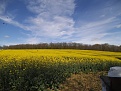 DSCF0092.jpg