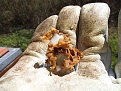 DSCF0100.jpg