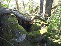 DSCF0113.jpg