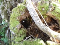 DSCF0118.jpg
