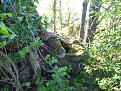DSCF0114.jpg