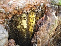 DSCF0117.jpg