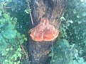 160720142131.jpg