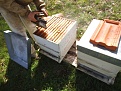 DSCF0029.jpg