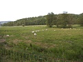 Klicke auf die Grafik fr eine vergrerte Ansicht

Name: DSCF1806.jpg
Ansichten: 54
Gre: 219,1 KB
ID: 28934