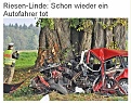 Riesen Linde
