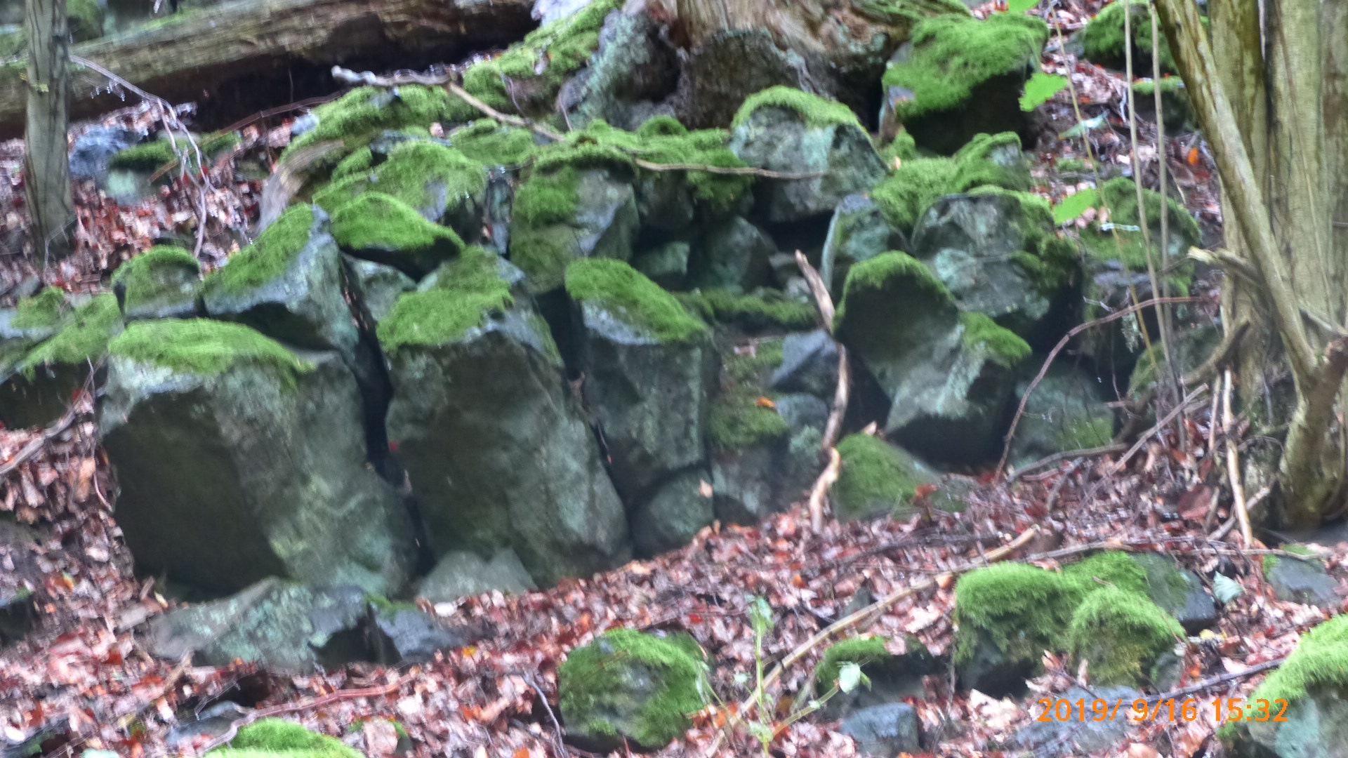 Säulenbasalt